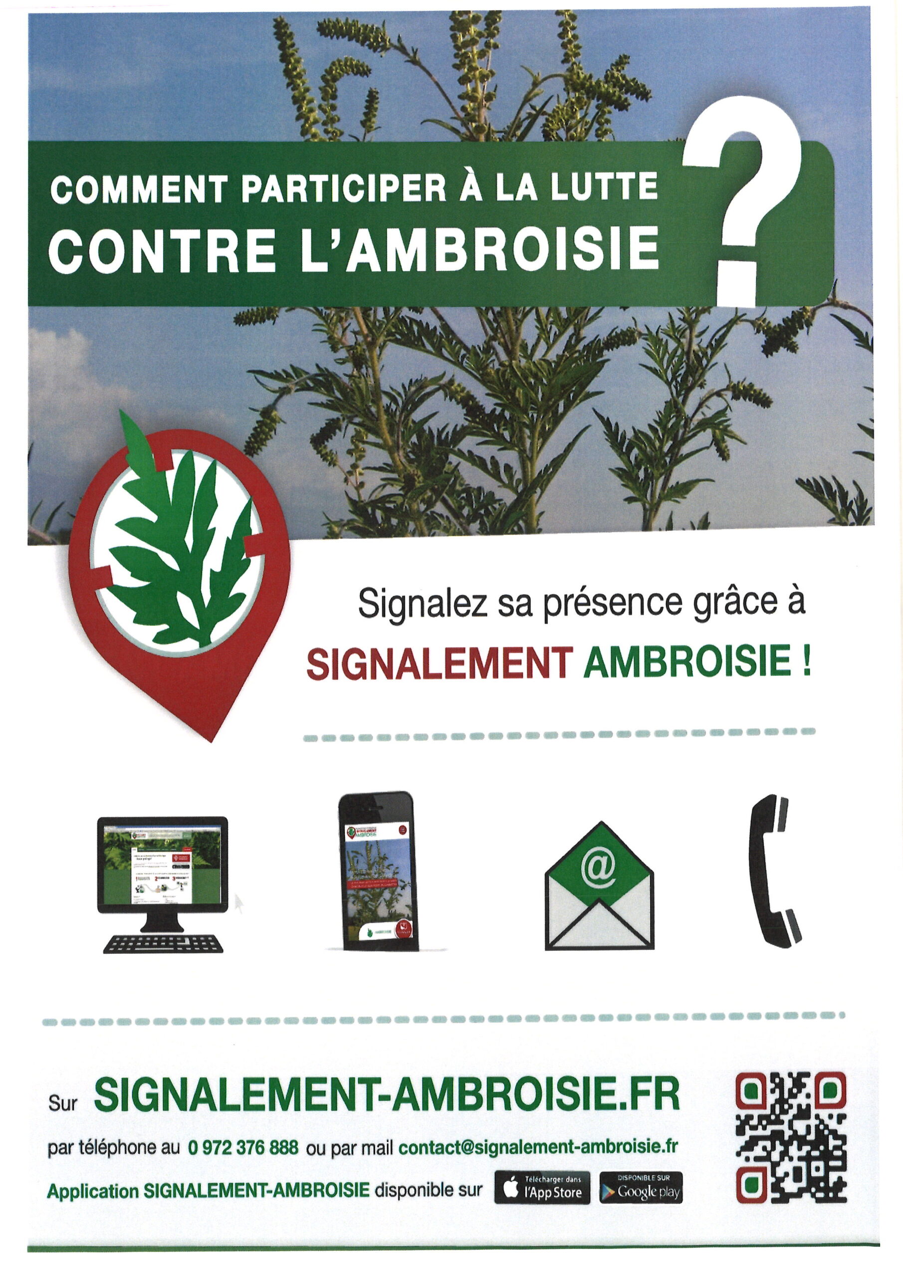 You are currently viewing Campagne de lutte contre l’ambroisie